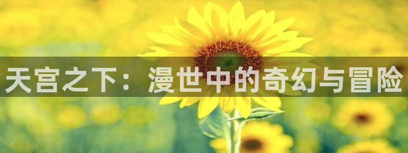 韩漫漫画完结排行榜：天宫之下：漫世中的奇幻与冒险配图