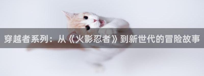 韩漫阅读网站:穿越者系列:从《火影忍者》到新世代的冒险故事配图