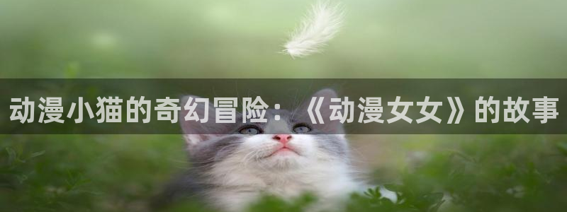 韩漫漫画有什么推荐:动漫小猫的奇幻冒险:《动漫女女》的故事配图