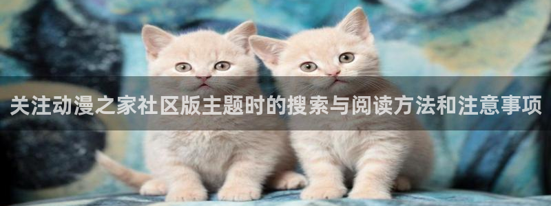 韩漫推理漫画推荐:关注动漫之家社区版主题时的搜索与阅读方法和注意事项配图