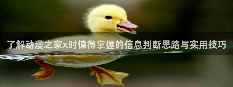 韩漫漫画推荐大全:了解动漫之家x时值得掌握的信息判断思路与实用技巧配图