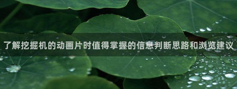 韩漫古风漫画:了解挖掘机的动画片时值得掌握的信息判断思路和浏览建议配图