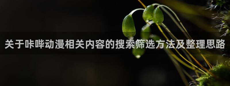 韩漫漫画手机免费阅读：关于咔哔动漫相关内容的搜索筛选方法及整理思路配图